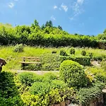 Oesterle - Idyllisches Schwarzwaldhaus Am Bach Mit Terrasse & Balkon Σπίτι διακοπών *