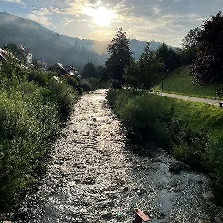 Σπίτι διακοπών Oesterle - Idyllisches Schwarzwaldhaus Am Bach Mit Terrasse & Balkon *