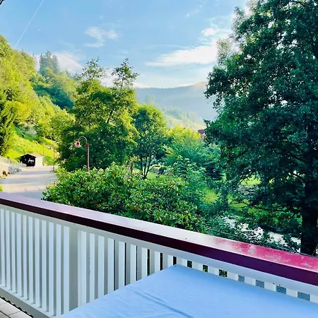 Casa vacanze Oesterle - Idyllisches Schwarzwaldhaus Am Bach Mit Terrasse & Balkon