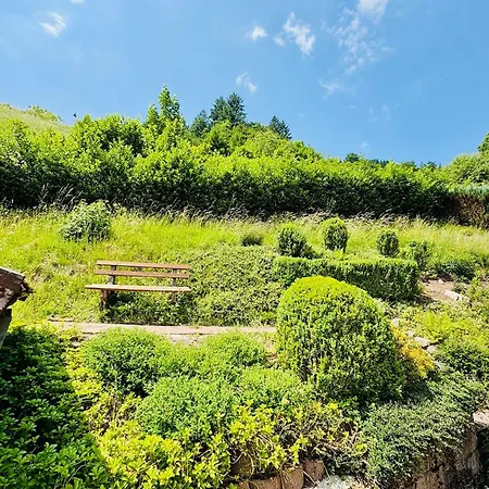 Oesterle - Idyllisches Schwarzwaldhaus Am Bach Mit Terrasse & Balkon Feriehus *